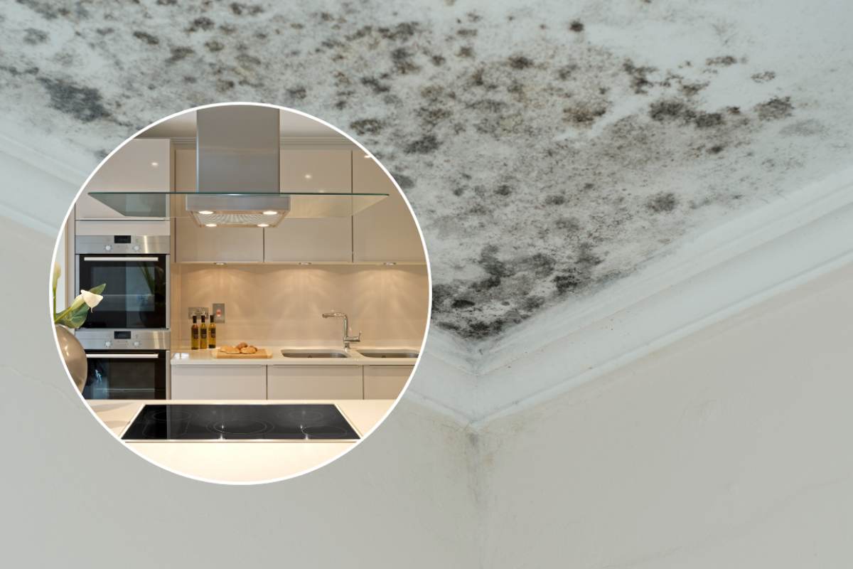 muffa sul soffitto e cucina moderna