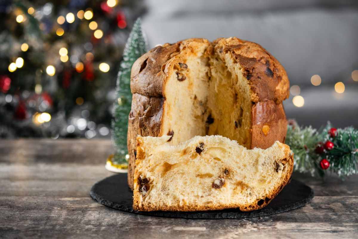 Panettone