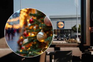 negozio lidl e albero di natale
