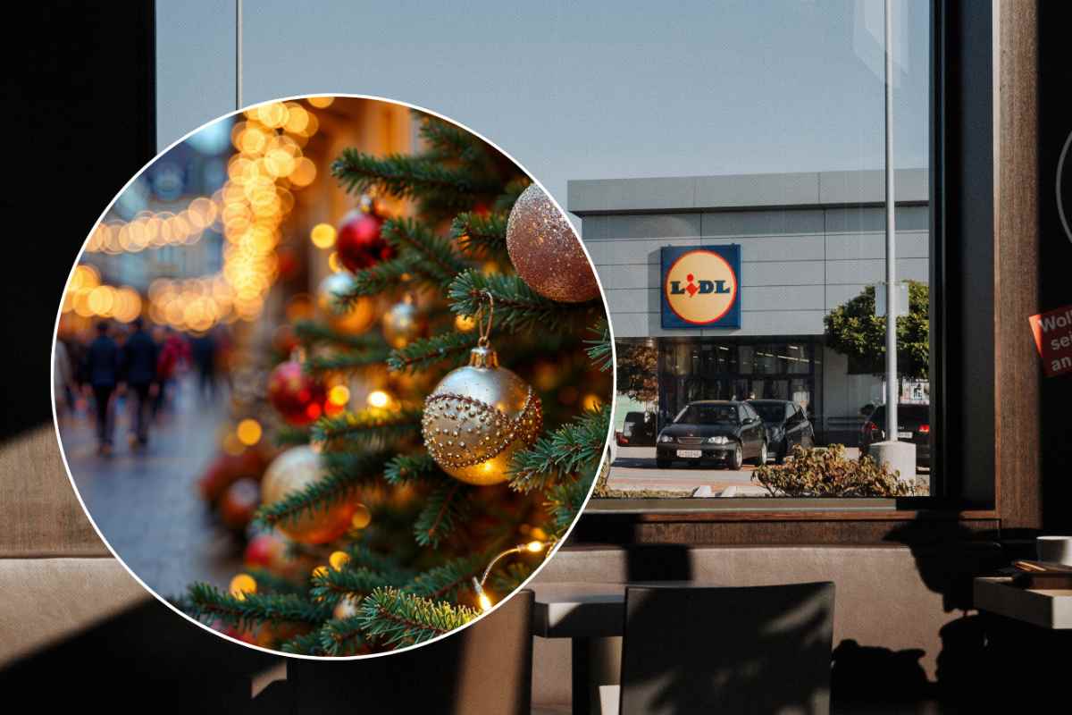 negozio lidl e albero di natale